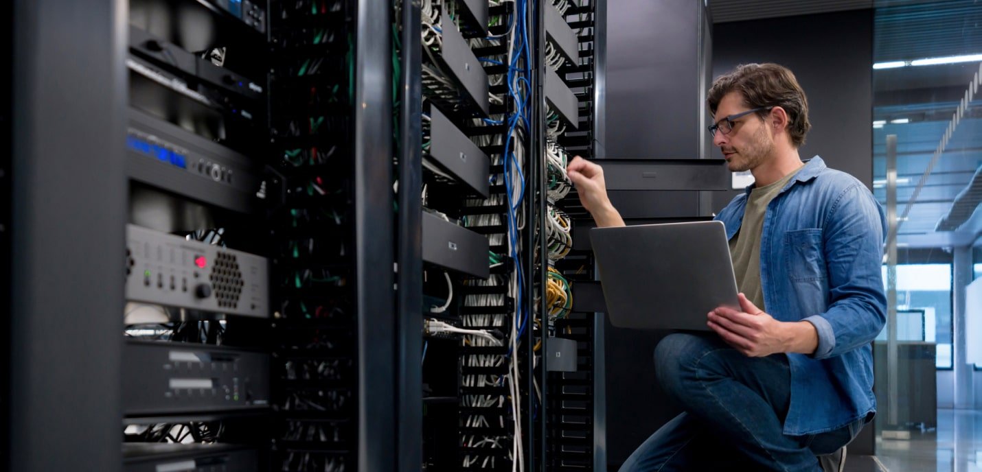 IT Professional Services